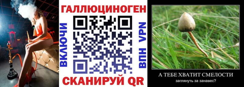 Галлюциногенные грибы GOLDEN TEACHER Пятигорск