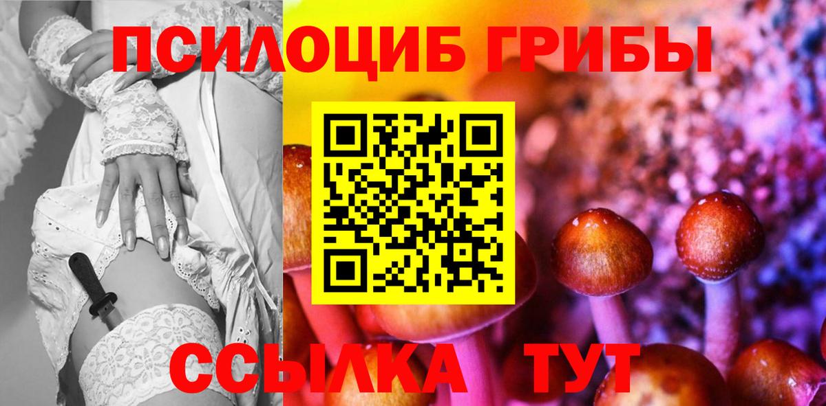 Псилоцибиновые грибы MAGIC MUSHROOMS Пятигорск
