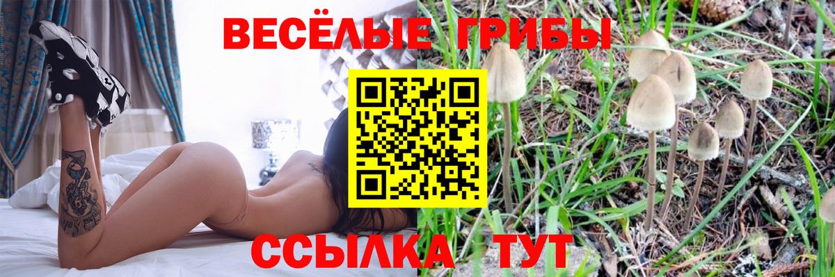 Пятигорск  Псилоцибиновые грибы MAGIC MUSHROOMS  Вход с VPN 